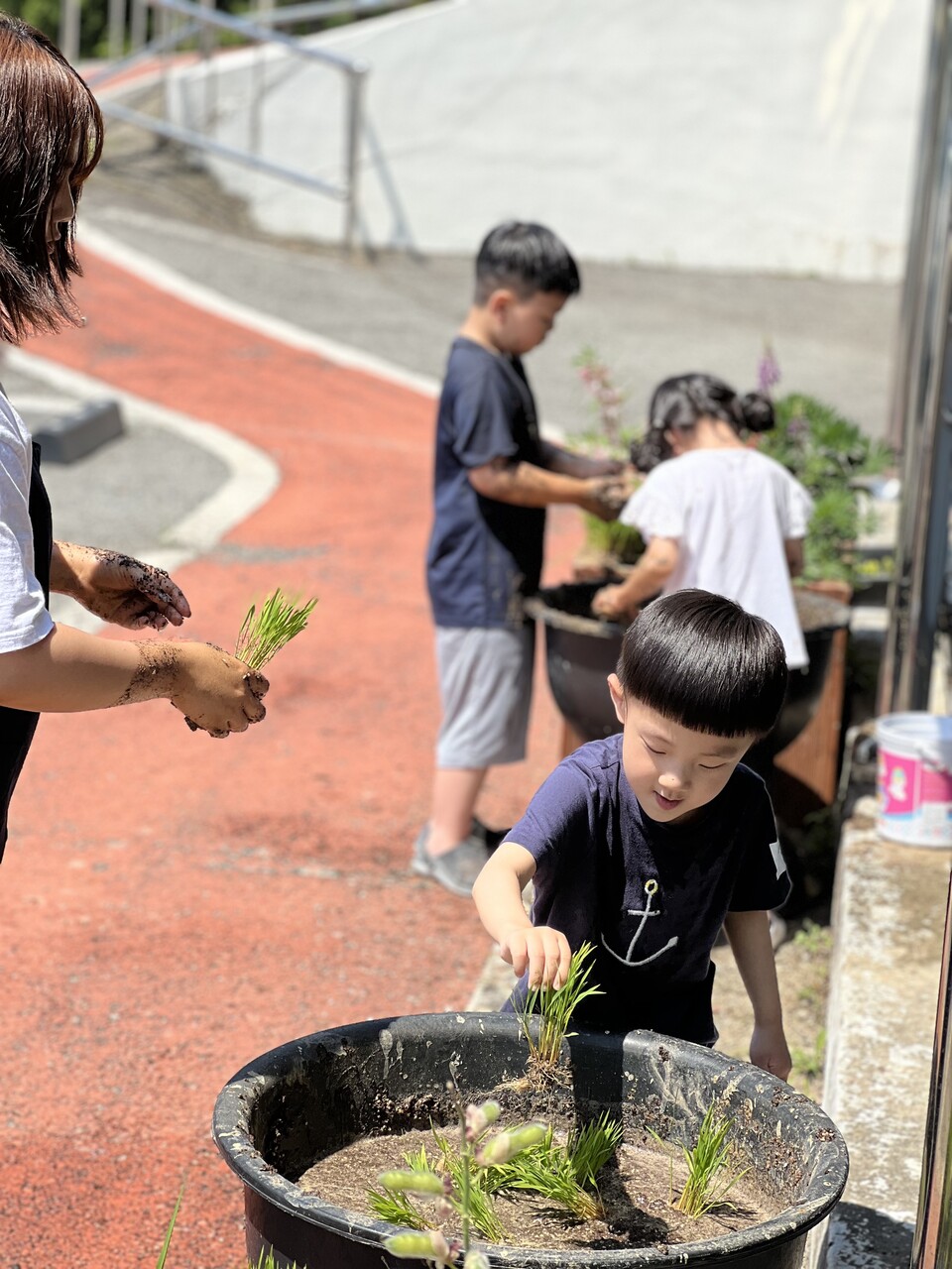 함평영화학교 마을학교와 연계하여 모심기 체험