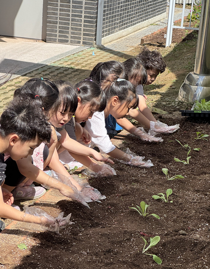 텃밭이 놀이터이자 부엌이 되다, 유아들이 배우는 생명과 나눔 - 교육 | 코리아NEWS