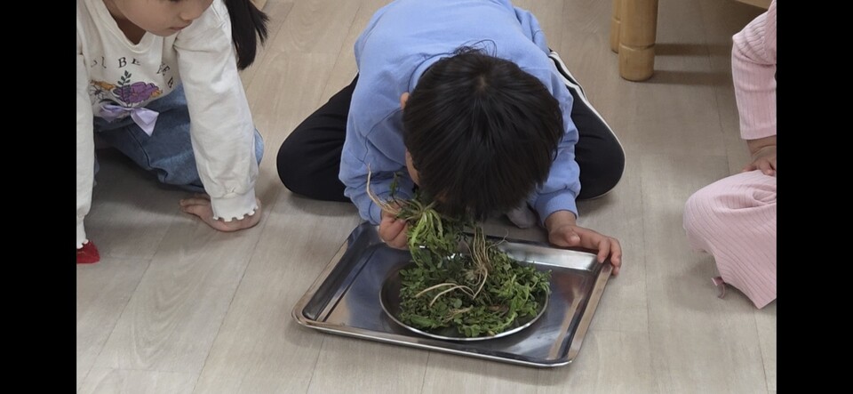 여수성산유치원, 제철 채소 체험으로 아이들 건강한 식습관 길러