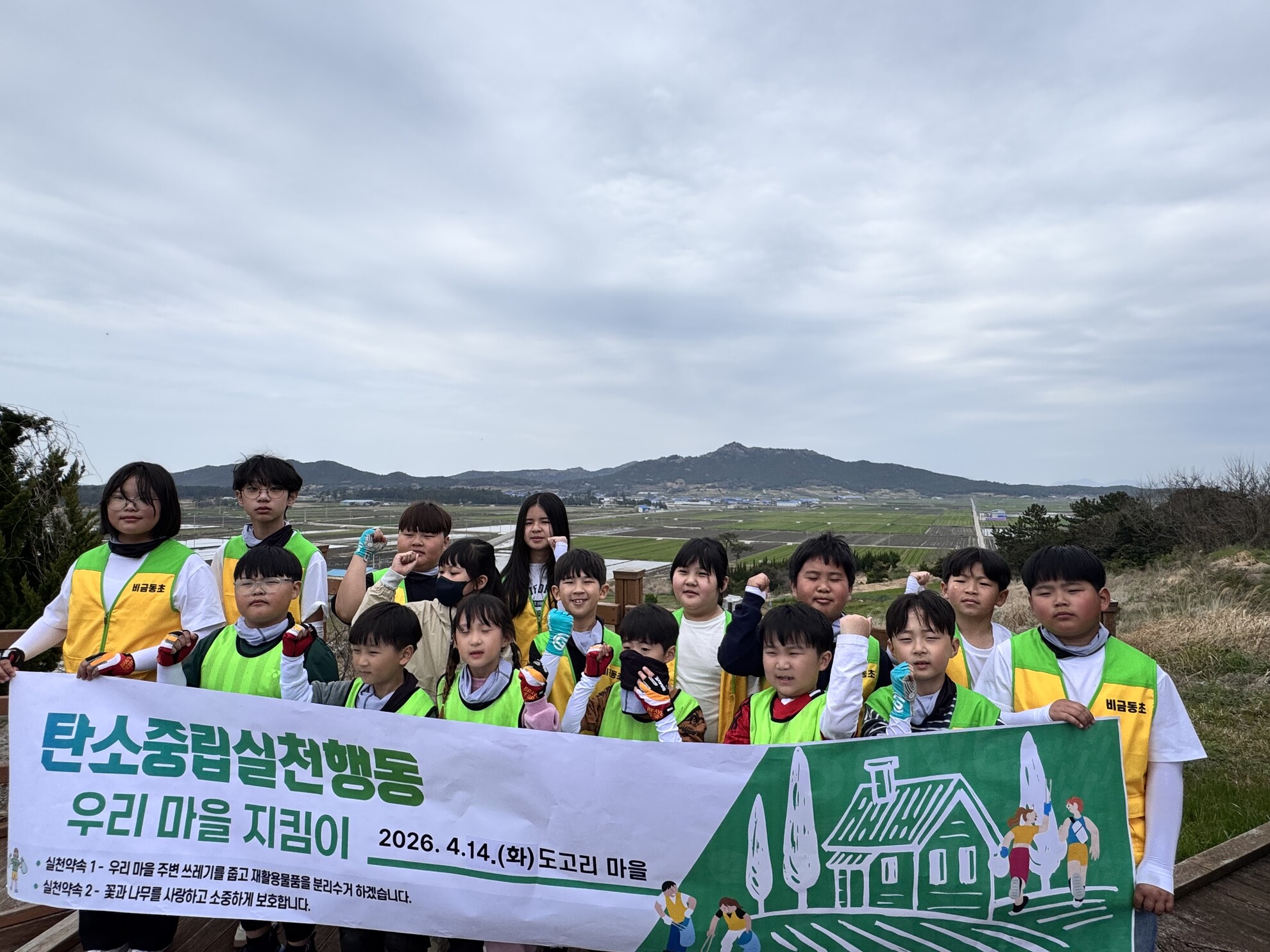 비금동초, 푸른 비금을 지키는 꼬마 파수꾼들 - 환경 | 코리아NEWS