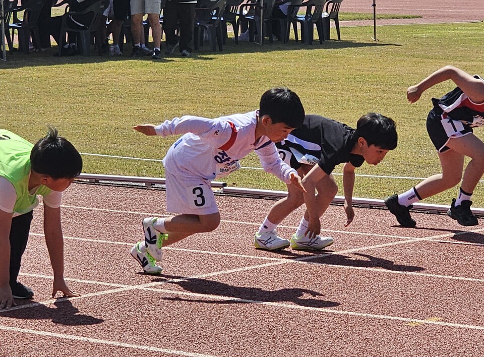 장흥남초, 교육장기 육상대회서 13명 메달리스트 배출... ‘도전의 용기’ 빛나