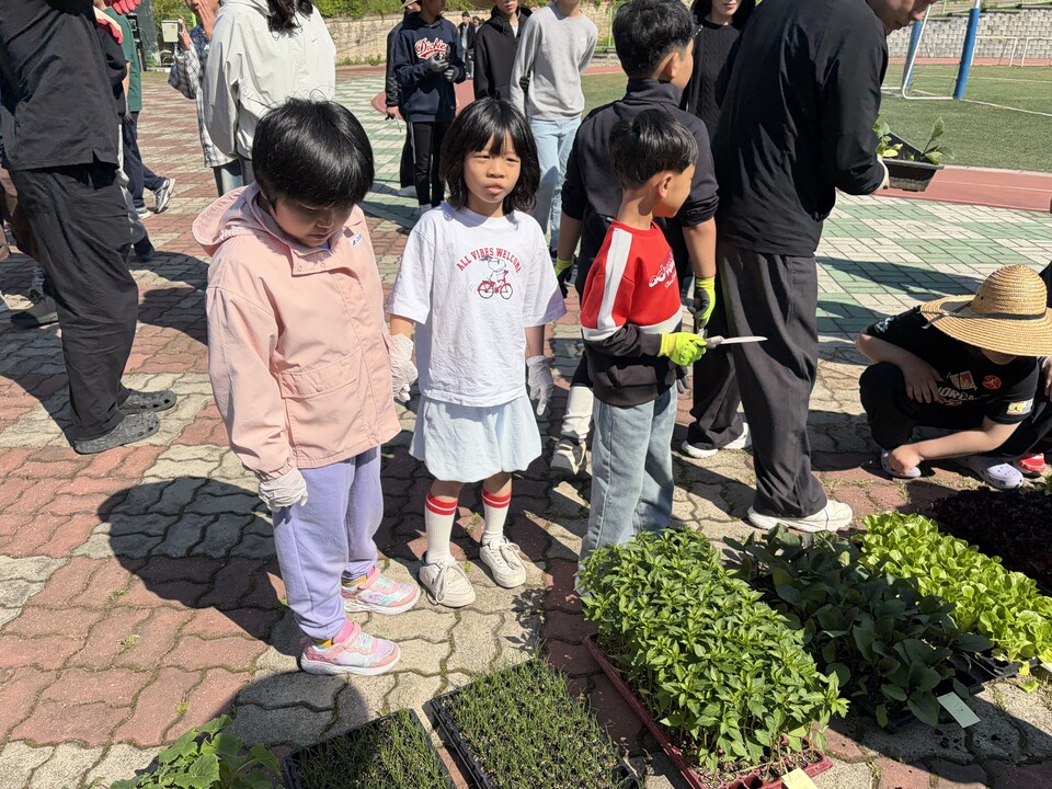 함평영화학교, ‘에코농장’ 텃밭 가꾸기로 탄소중립 교육 강화