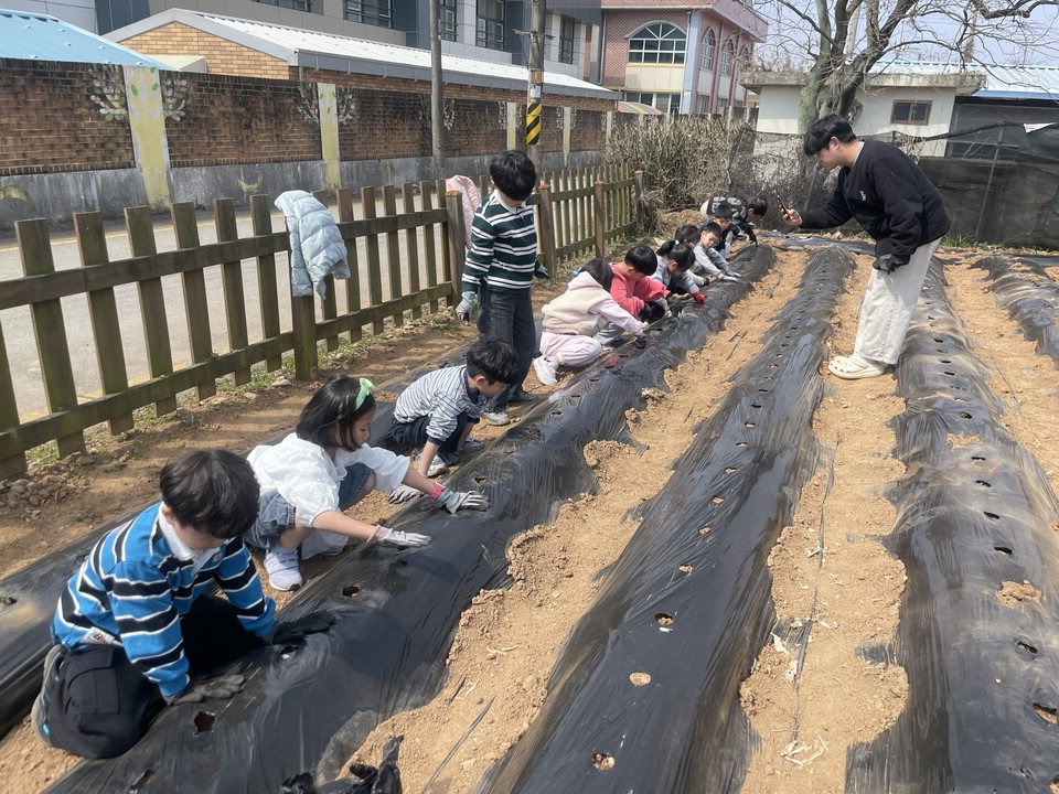 노안남초, 고사리 손으로 초록빛 꿈을 심다…‘학교 텃밭 가꾸기’ 본격 시동 - 교육 | 코리아NEWS