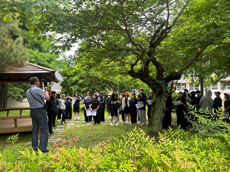 화순도곡중, 교정을 ‘생태 교과서’로… 학생들과 함께 꾸민 green 미래 - 교육 | 코리아NEWS