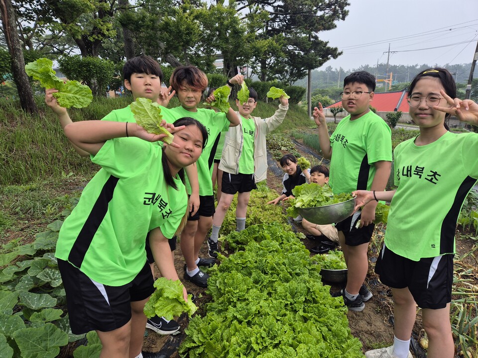 군내북초, 가족과 함께 삼겹살 파티로 교육공동체 하나 돼 - 교육 | 코리아NEWS