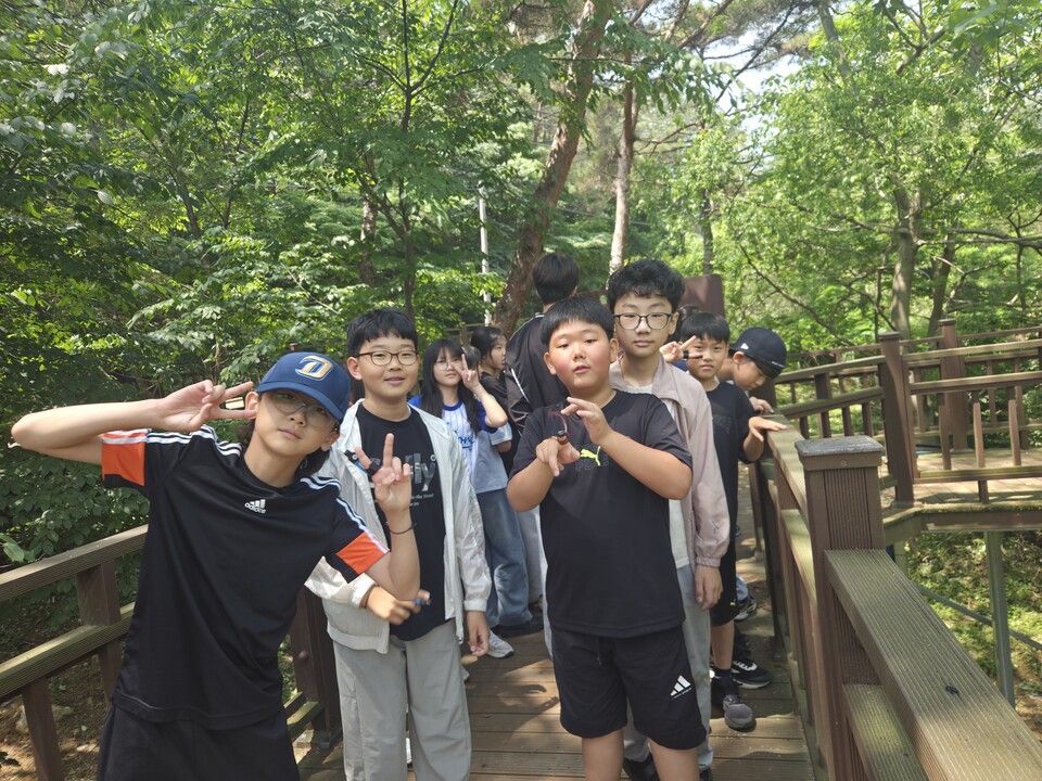 옥과초 5학년, 삼인동 숲속에서 나침반으로 배우는 생존·탐험 활동 - 환경 | 코리아NEWS