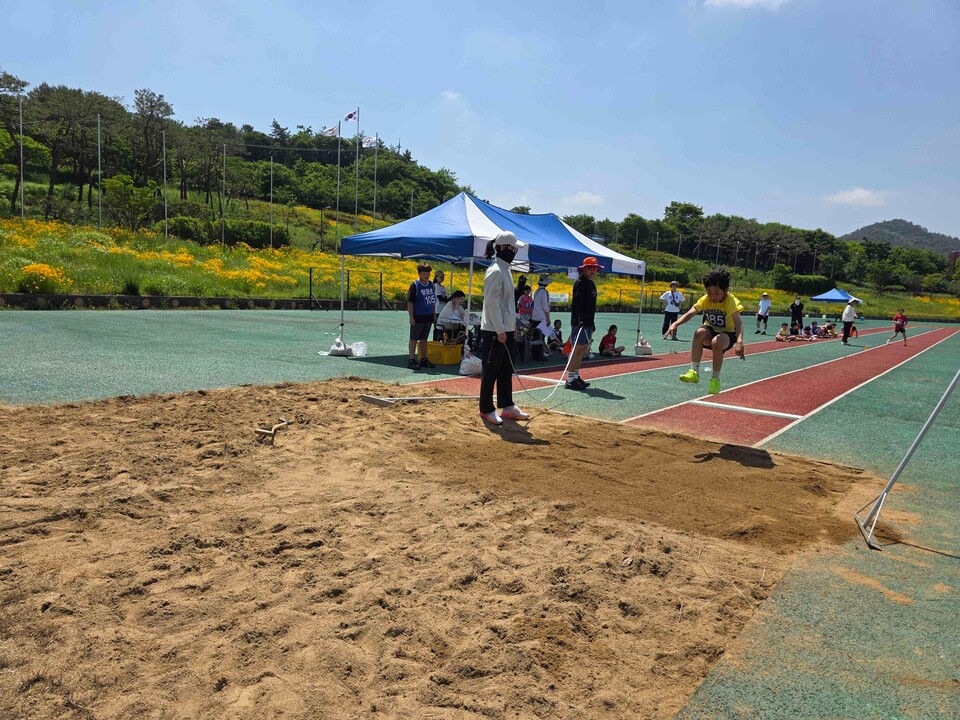 무안 초중생 503명, 2026년 교육장기 육상대회서 땀방울 - 교육 | 코리아NEWS