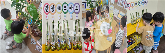 유·보 이음놀이로 행복 가득! ‘함께’가 더 재미운 즐거운유치원 - 교육 | 코리아NEWS